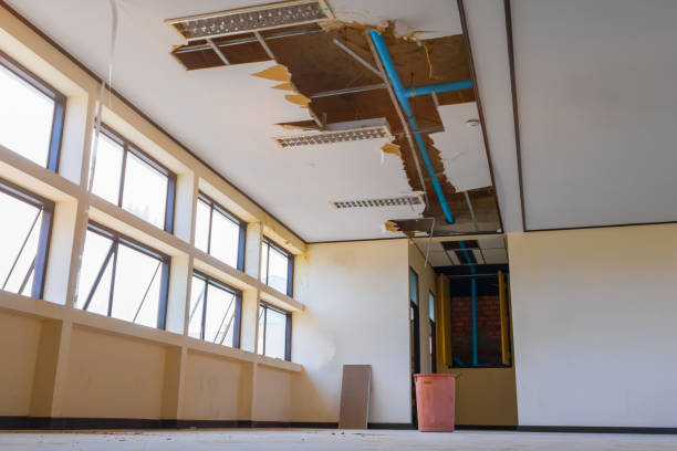 Best Water damage restoration services  in Wmette, IL
