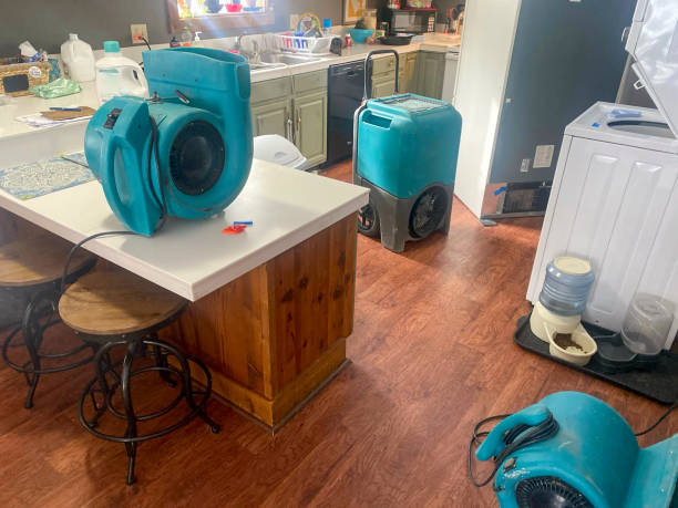 Best Flood damage cleanup  in Wmette, IL