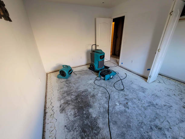  Wmette, IL Water damage restoration Pros
