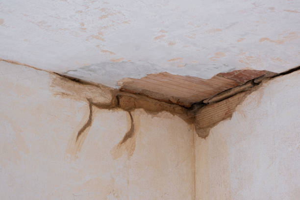 Best Sewage cleanup and water damage restoration  in Wmette, IL