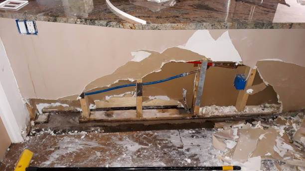 Best Professional water damage repair  in Wmette, IL